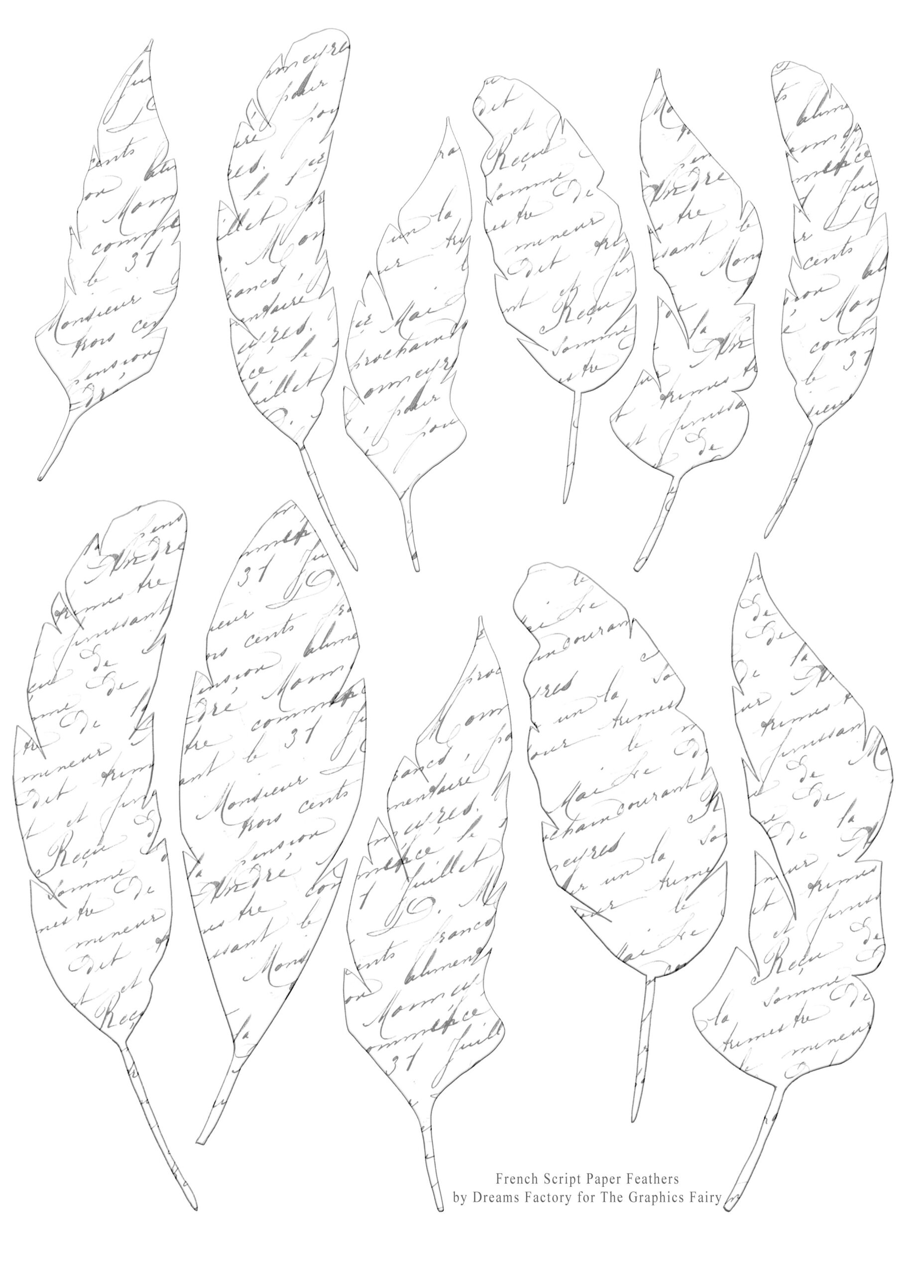 French Script Paper Feathers