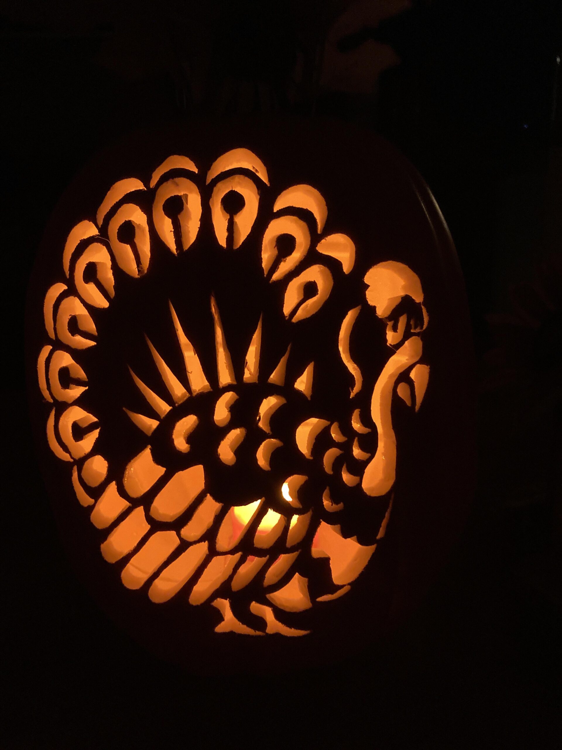 Happy Thanksgiving My Turkey Pumpkin And Can Happy Thanksgiving My Turkey Pumpkin And Can