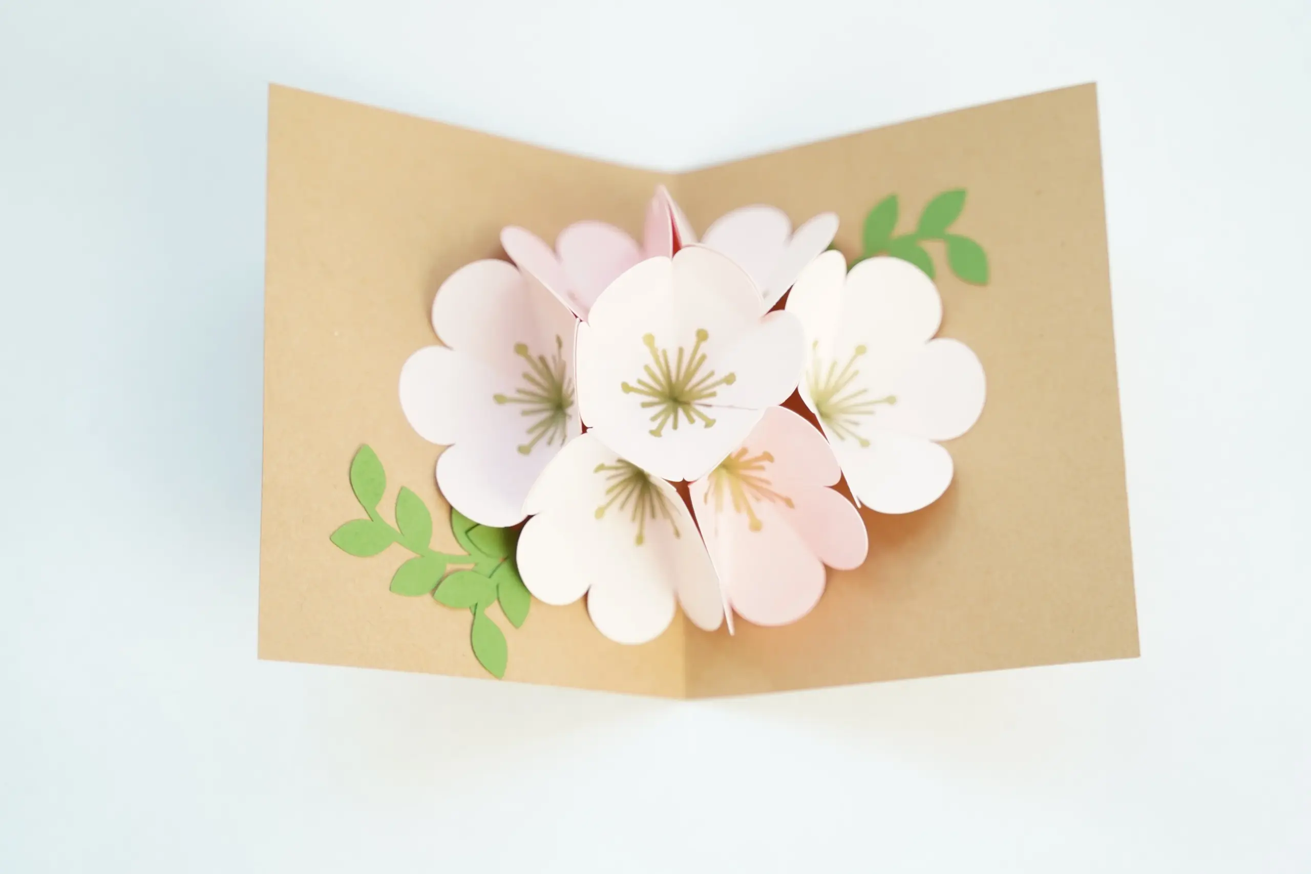 How To Make Flower Pop Up Cards