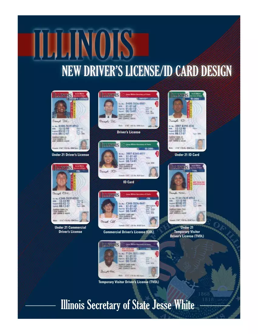 Illinois Drivers License