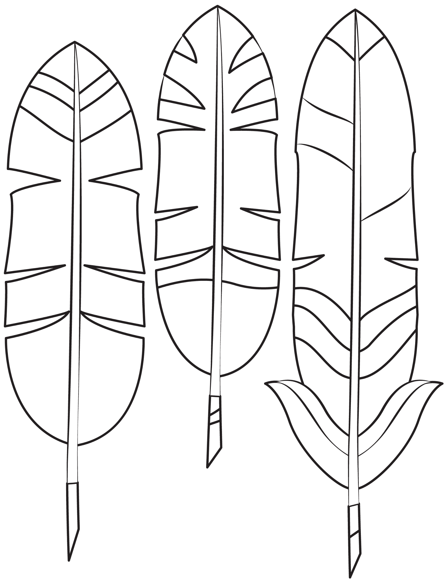 Indian Feather