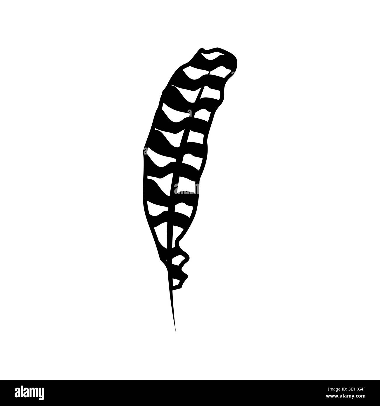 outline turkey feather template