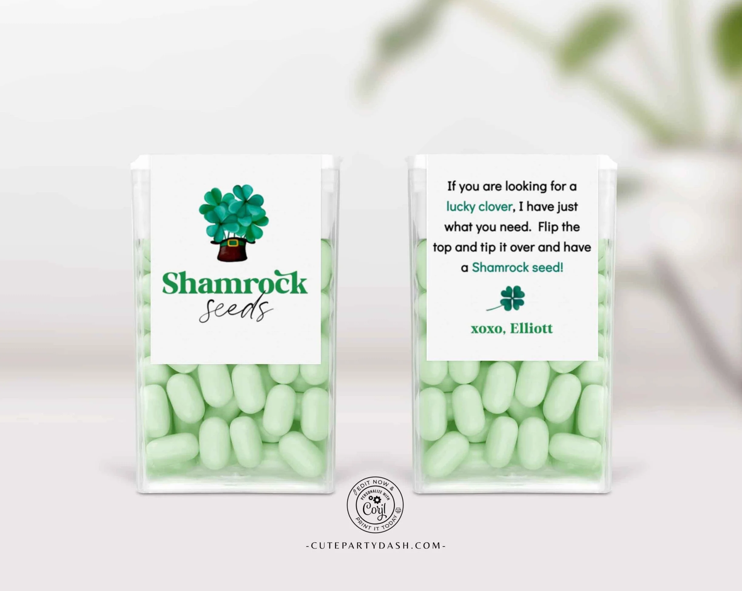 Modern Minimalist St Patricks Day Rainbow Seeds Tic Tac Mint Labels Instant Download Modern Minimalist St Patricks Day Rainbow Seeds Tic Tac Mint Labels Instant Download