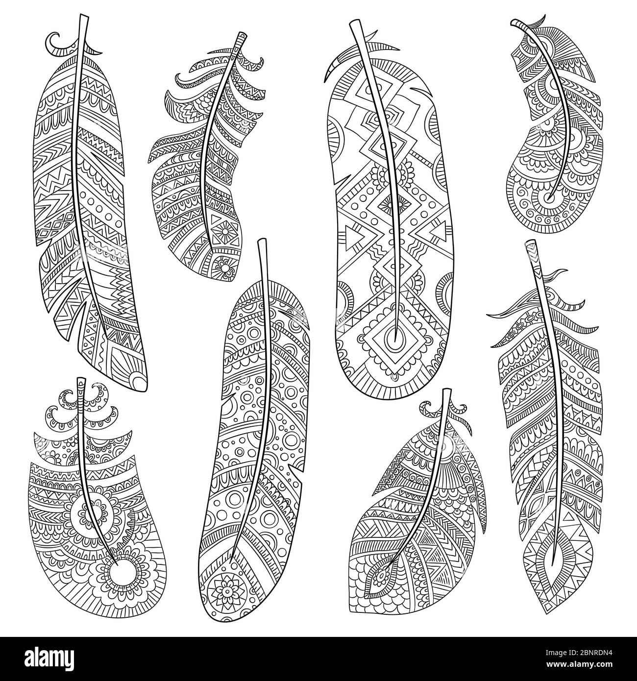 Native American Indian Feathers Native American Indian Feathers