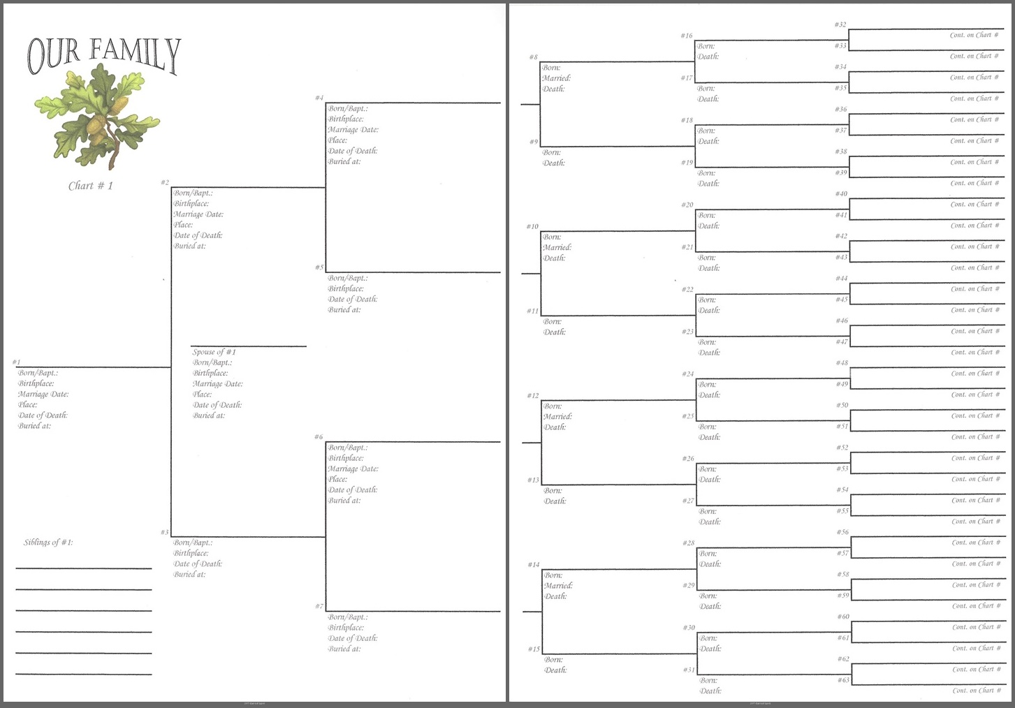 Oak Tree 6x 8 6 Generations Pedigree Chart Oak Tree 6x 8 6 Generations Pedigree Chart