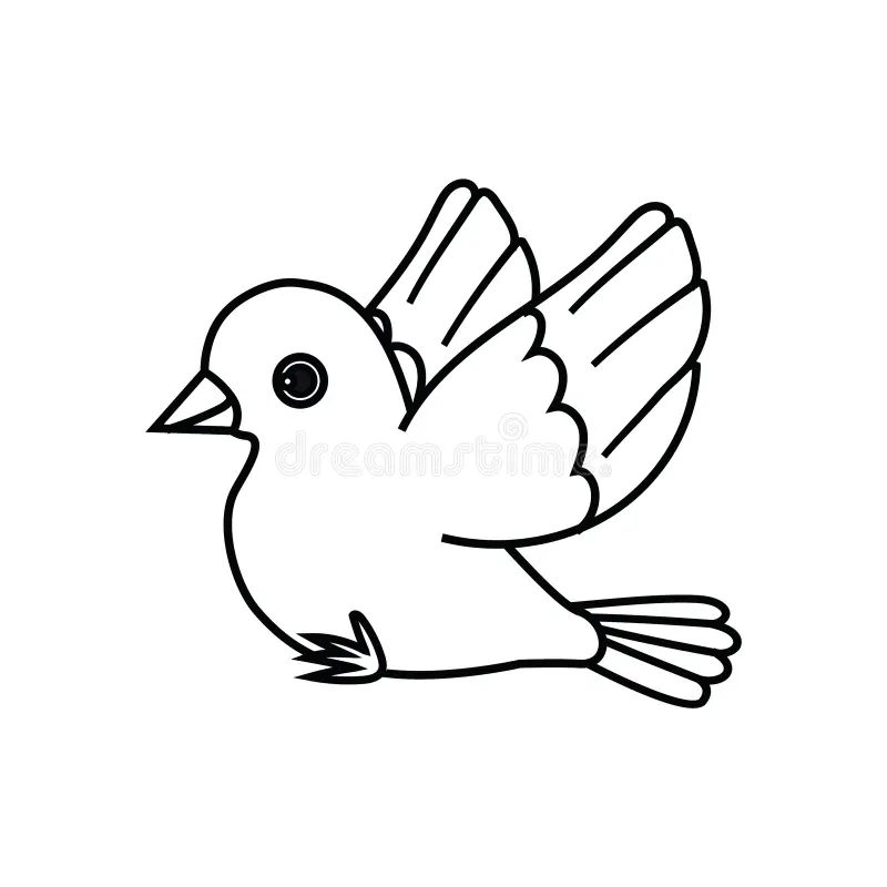 Outline Bird Flying Outline Bird Flying