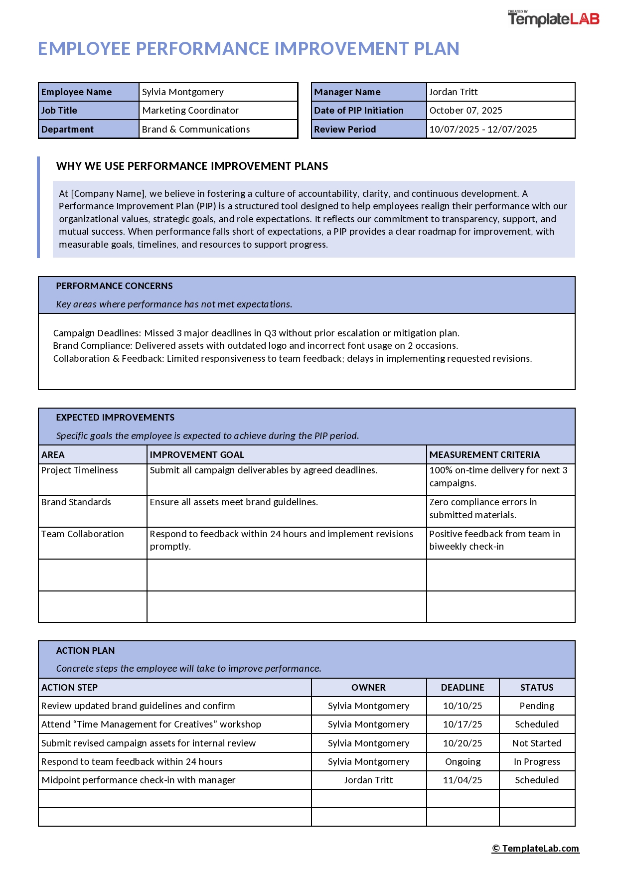 Performance Improvement Plan Performance Improvement Plan