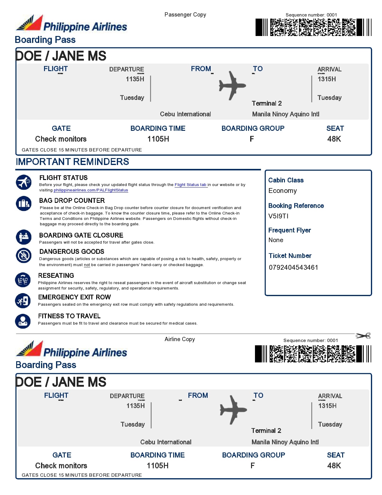 Plane Ticket Template