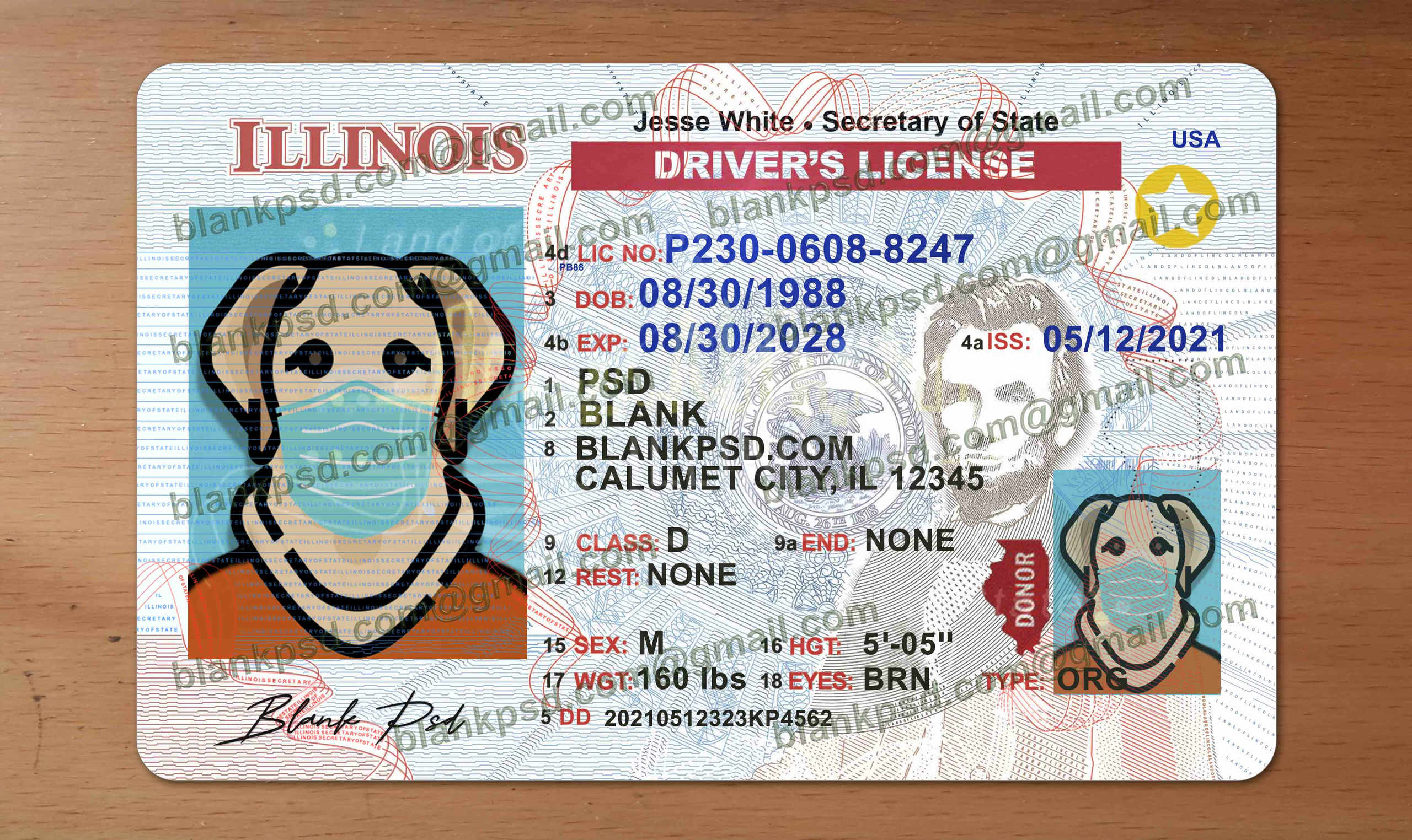 free printable blank illinois drivers license template