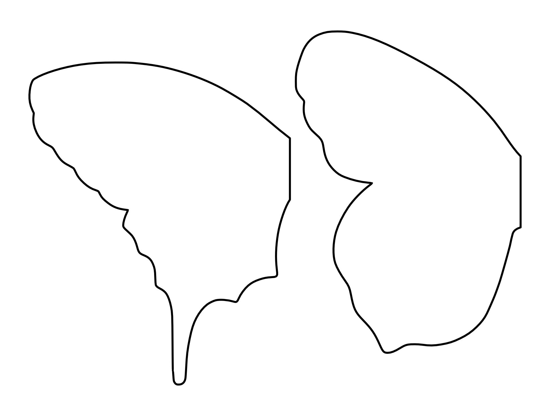 free printable butterfly wings template free printable butterfly wings template