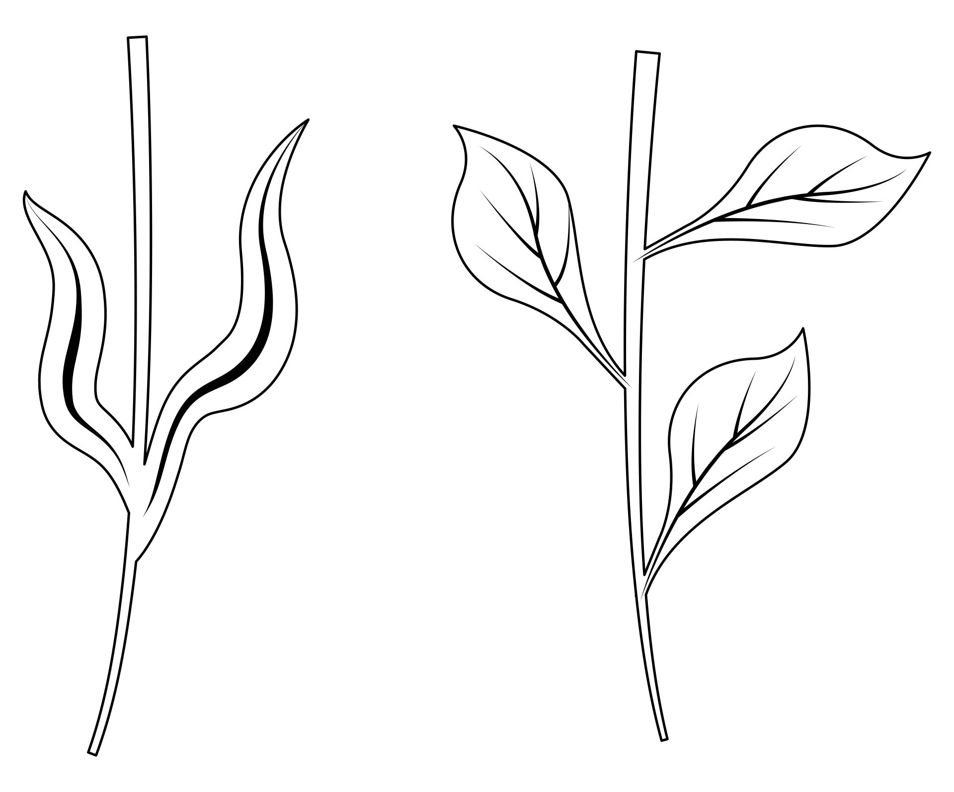 Post Printable Flower Stems 263048