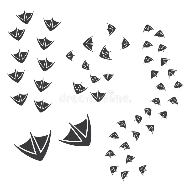 free printable duck feet template