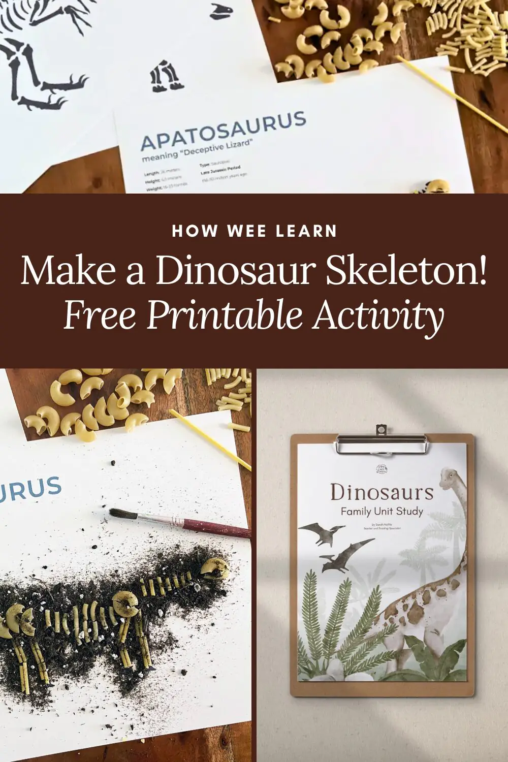 Printable Dinosaur Skeleton Activity