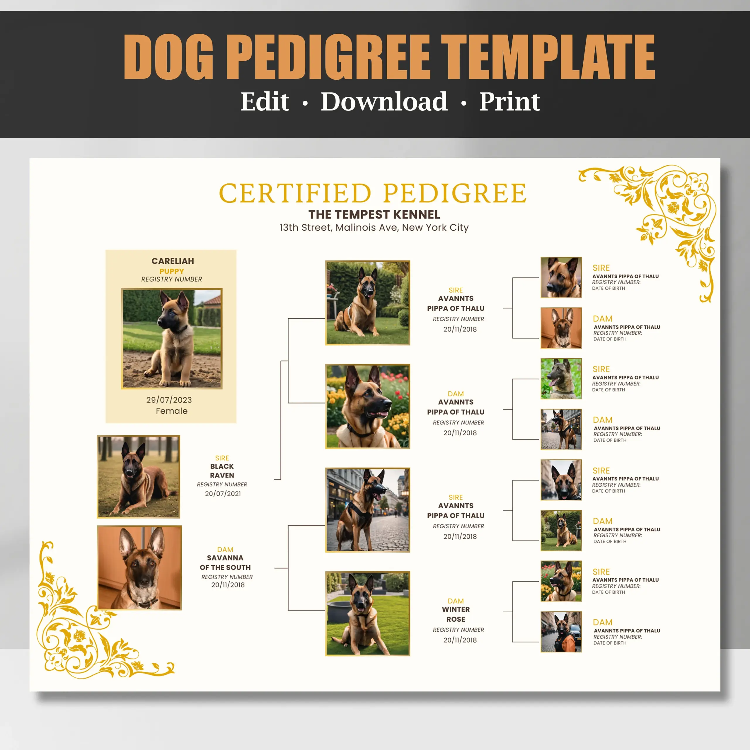 free printable dog pedigree template free printable dog pedigree template