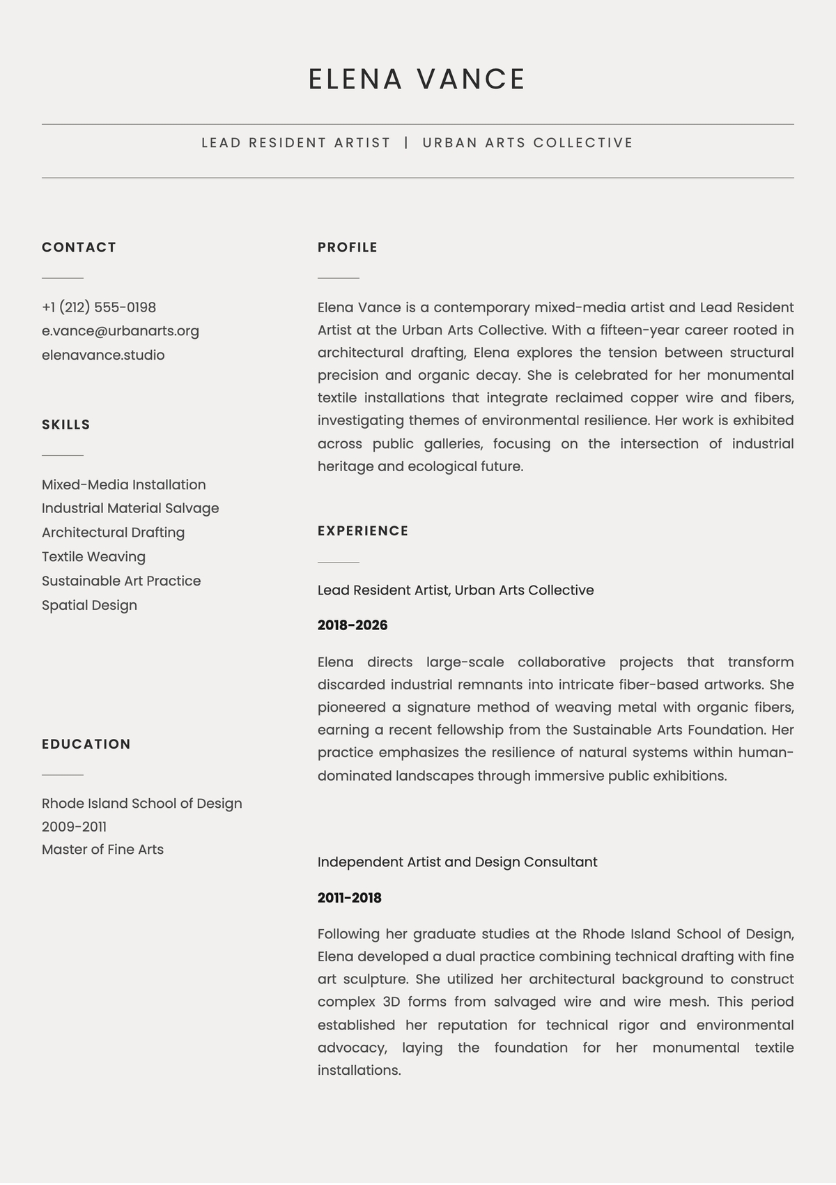 Professional Bio Template For Artist Professional Bio Template For Artist