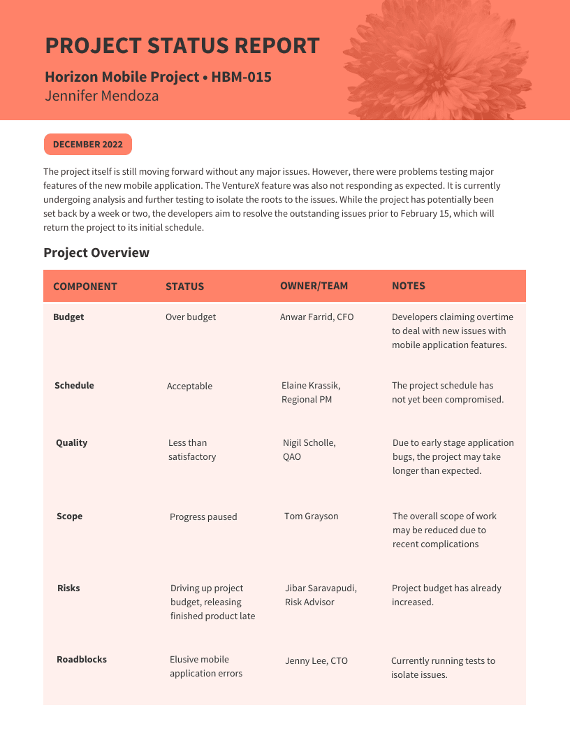 Project Plan Template