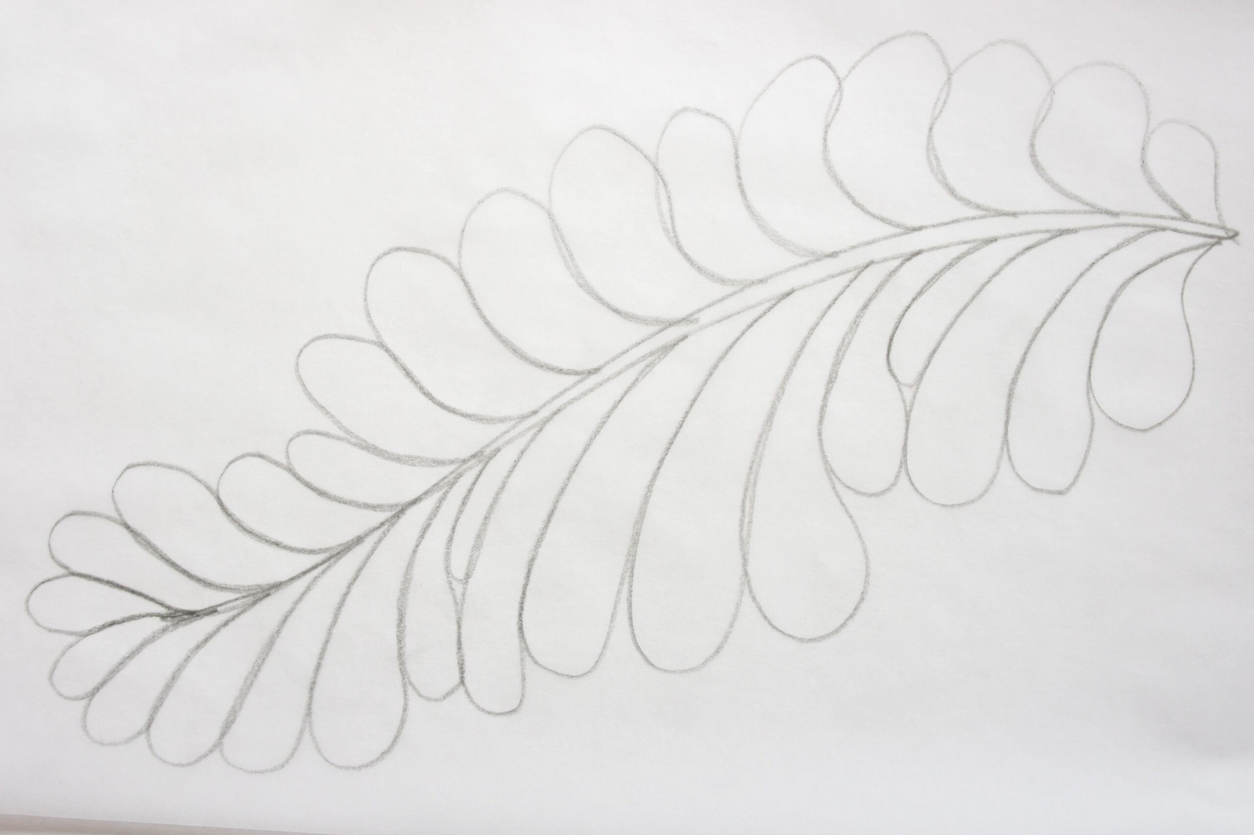 Quilting Free Motion Feathers How Do You Start Quilting Free Motion Feathers How Do You Start