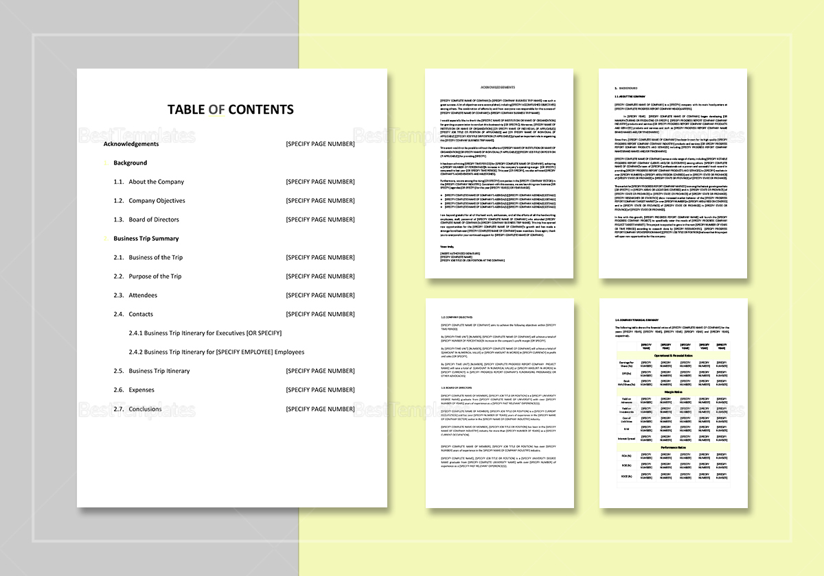 sample trip report template