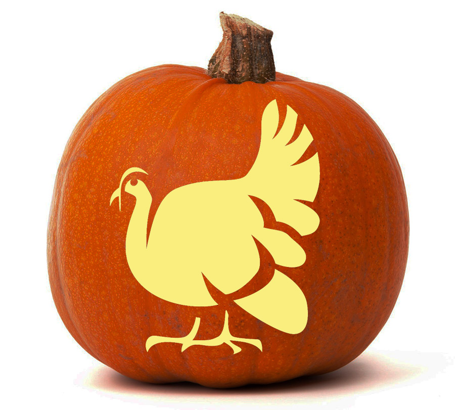 Turkey Turkey
